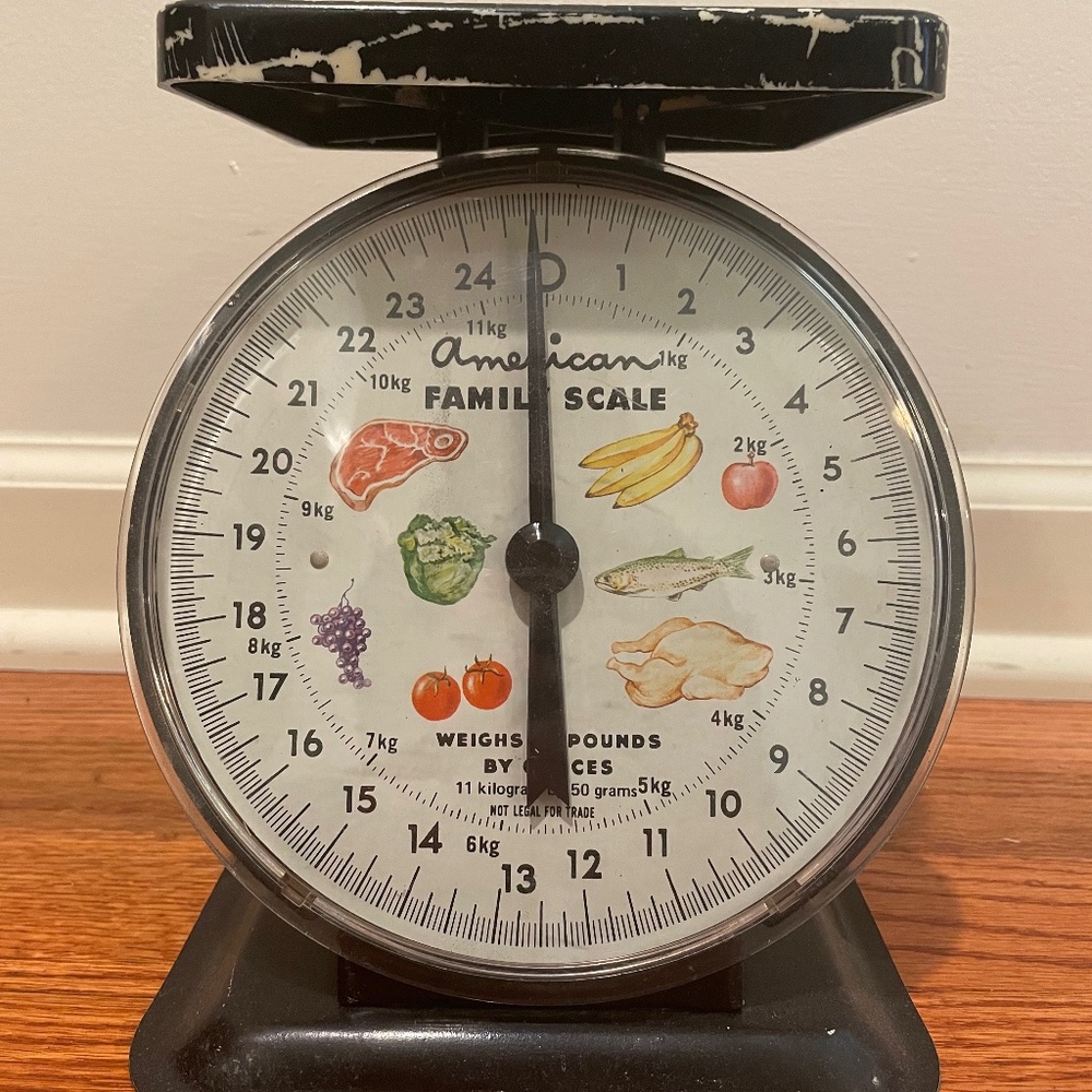 Vintage American Family Scale